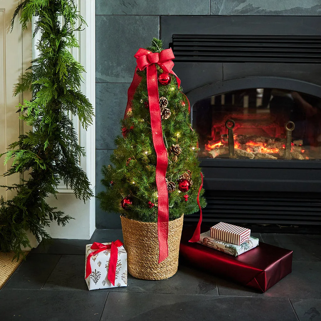 Christmas Trees – Lynch Creek Farm