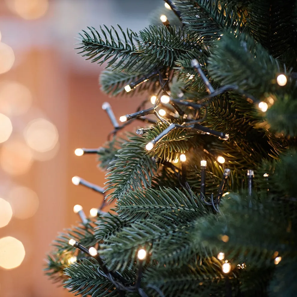 Christmas Vinyl & Greenery — Page 2 — Baisch & Skinner
