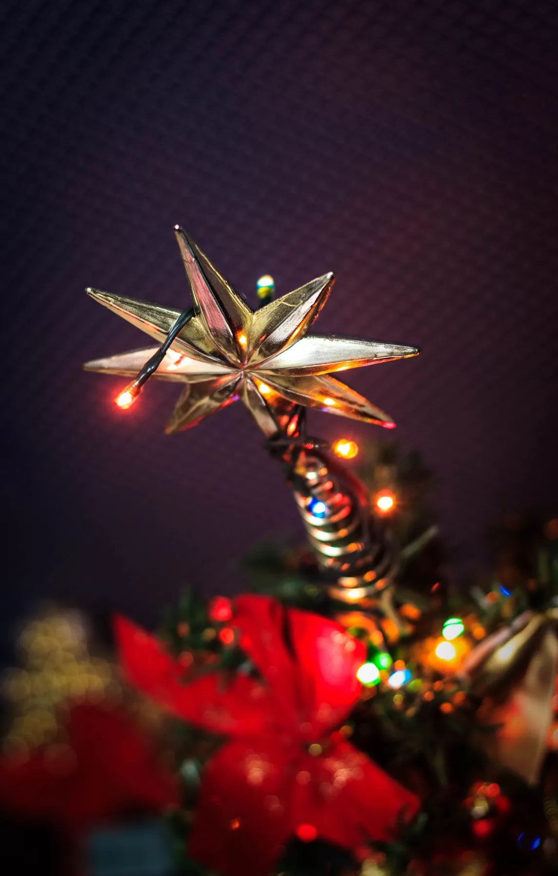Close-up of a Christmas golden star ornament on a decorated tree with colorful lights.