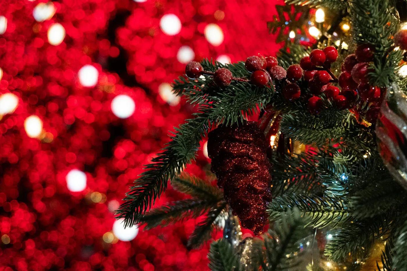 Close-up of a decorated christmas tree with red berries - Free Photo on Unsplash
