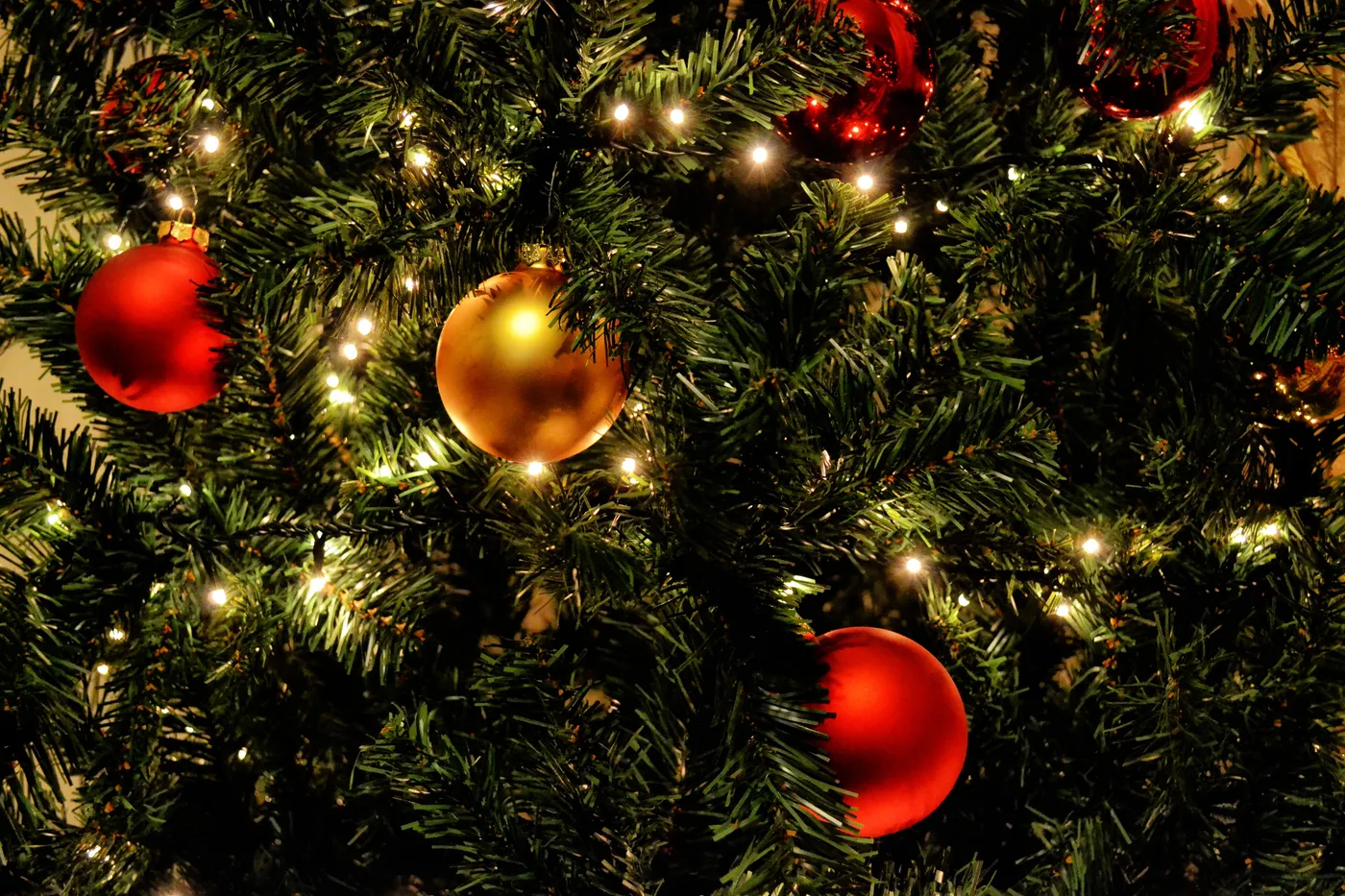 Close-up of a decorated Christmas tree with red and gold ornaments and lights.