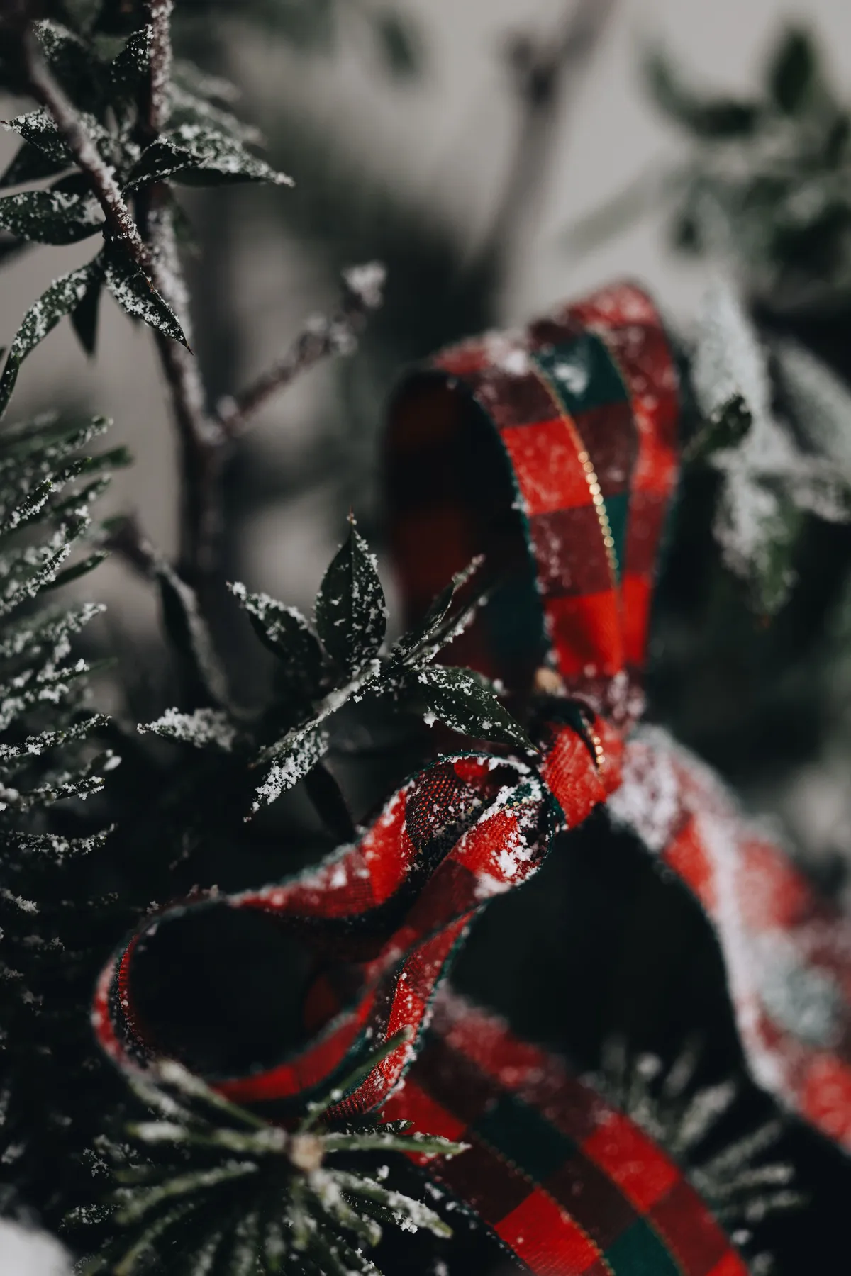 Close-up of a red plaid ribbon on a snow-covered evergreen branch, capturing holiday spirit.