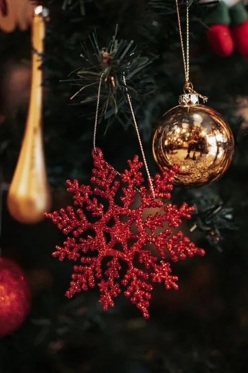 Close-up of Christmas Decorations · Free Stock Photo
