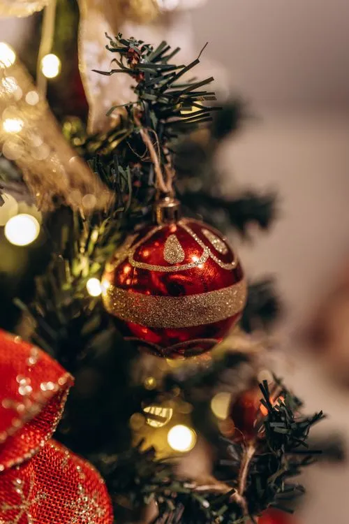 Close-up of Christmas Decorations · Free Stock Photo