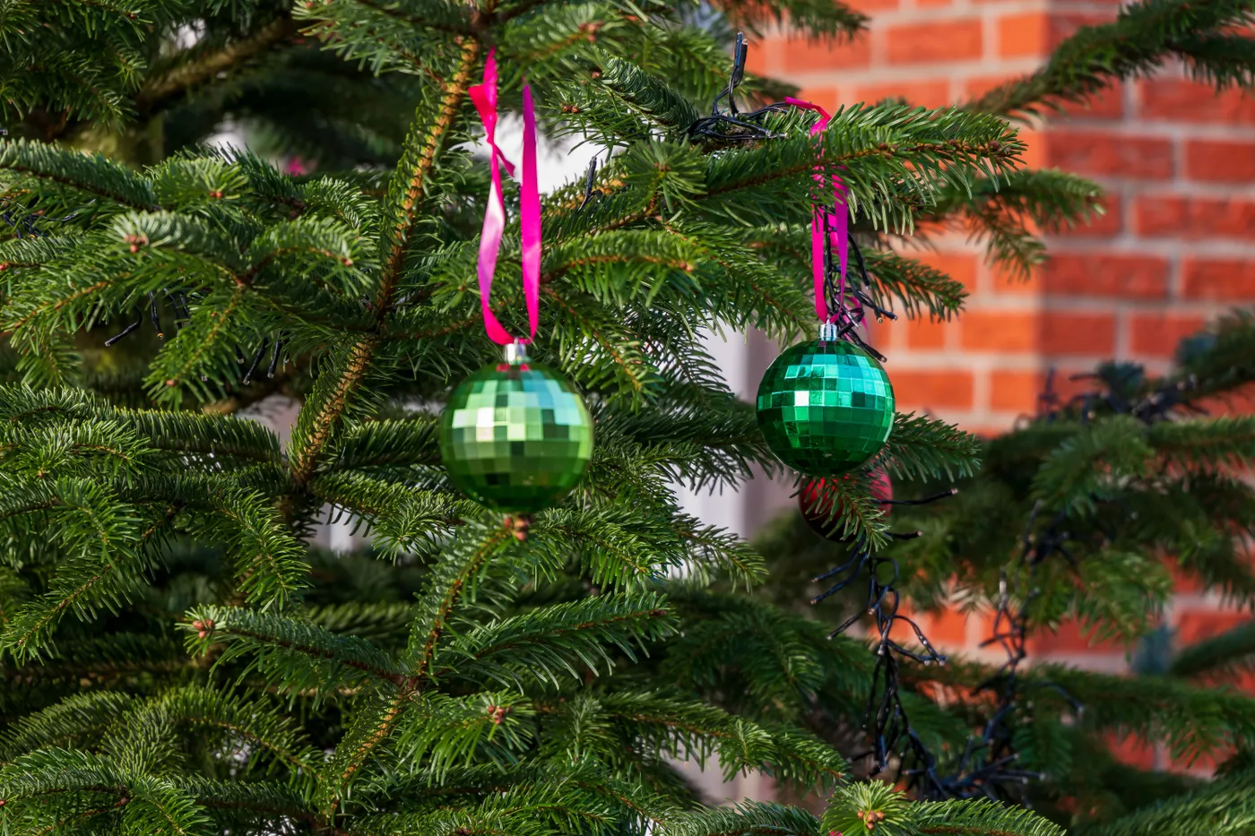 Close-up of green ornaments hanging on an outdoor evergreen tree with brick background.