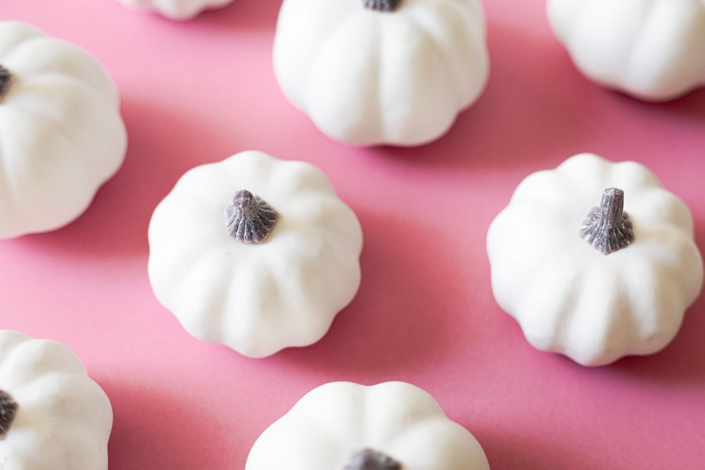 Close-up of white mini pumpkins arranged on a pink background, creating a soft autumnal vibe.
