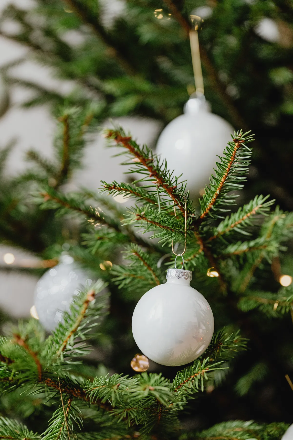 Close-up of white ornaments hanging on a decorated Christmas tree branch, capturing festive winter charm.