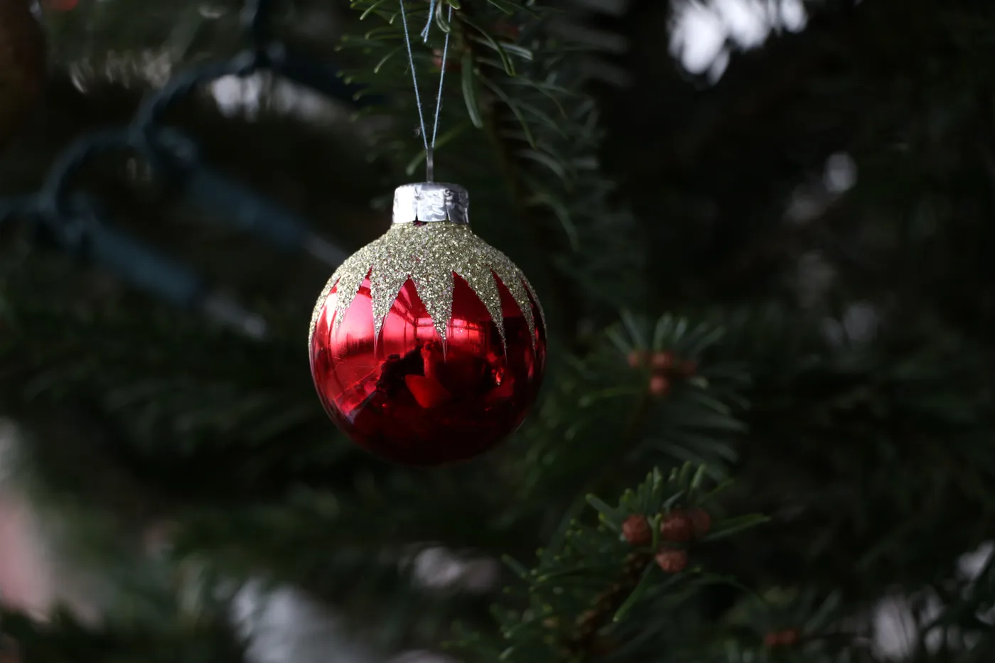 Close-Up Shot of a Red Christmas Ball on a Christmas Tree · Free Stock Photo