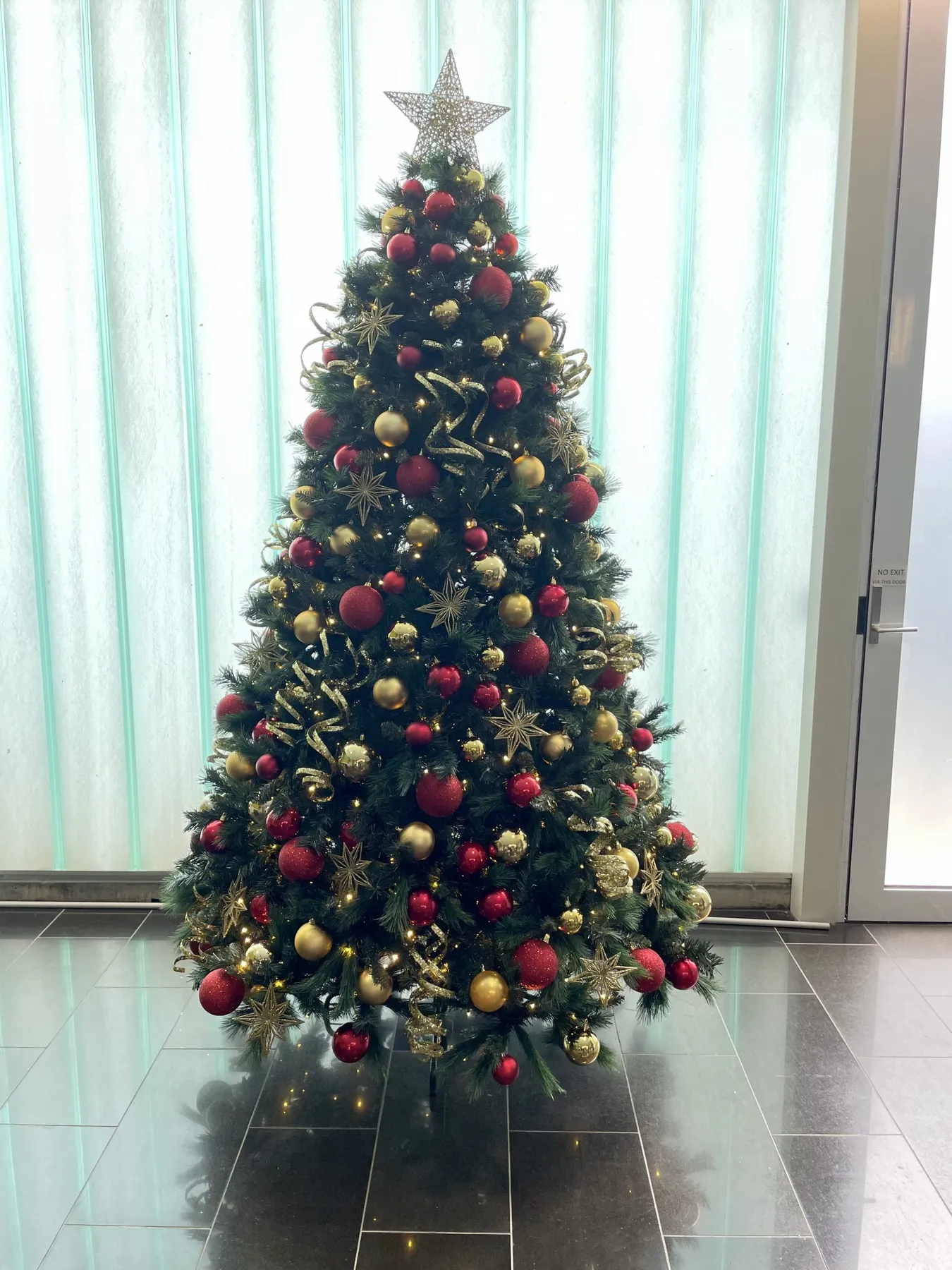 Collections - Baubles & Spruce | Christmas Tree Hire Melbourne