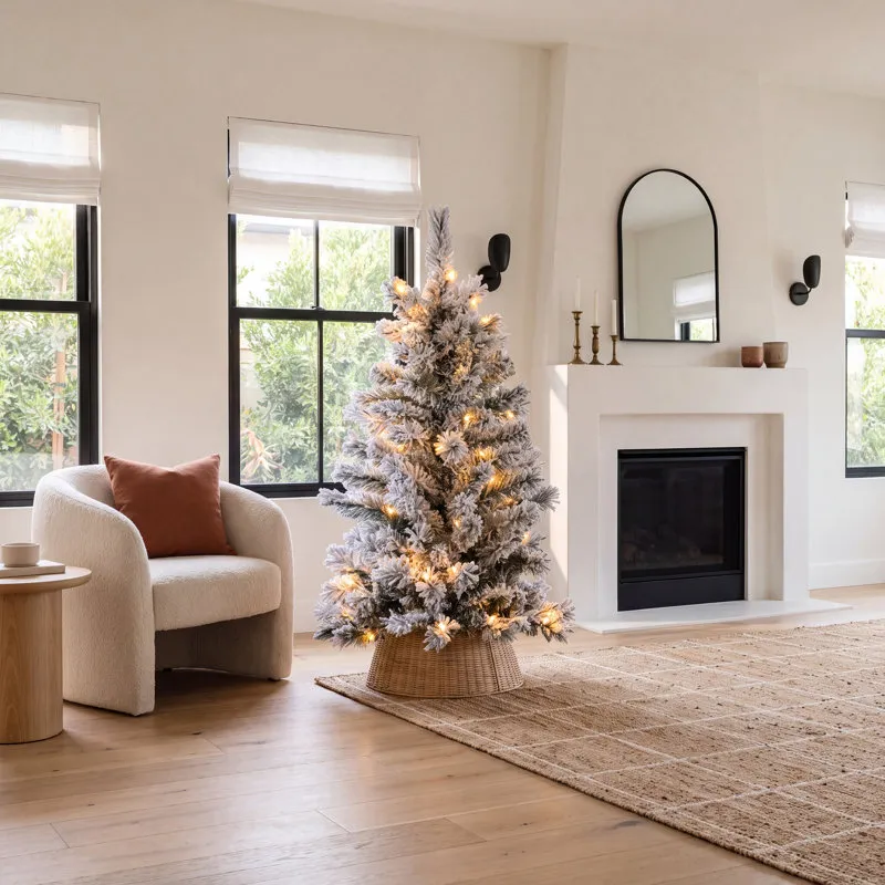 Colorado 36' Lighted Artificial Spruce Christmas Tree The Holiday Aisle
