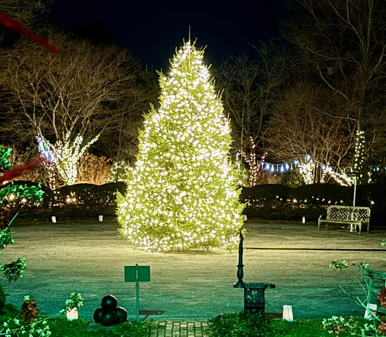 Dec 10 | Lights, Music, and Holiday Cheer Return to 'A Ladew Christmas' |  Hunt Valley, MD Patch