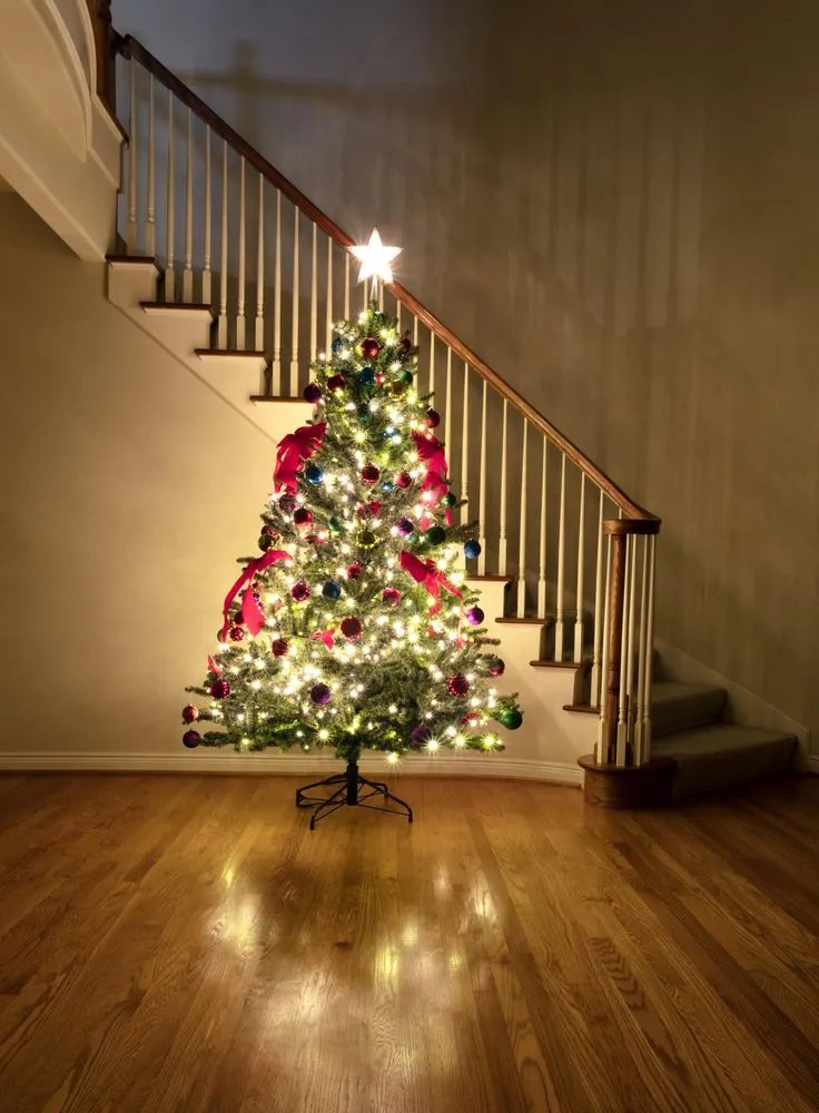 Decorated Christmas tree brightly illuminated in home at night - Free Photo (5pazg4) - Noun Project