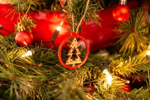Decorated Christmas Tree · Free Stock Photo