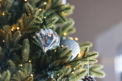 Decorated Christmas tree on parquet at home · Free Stock Photo