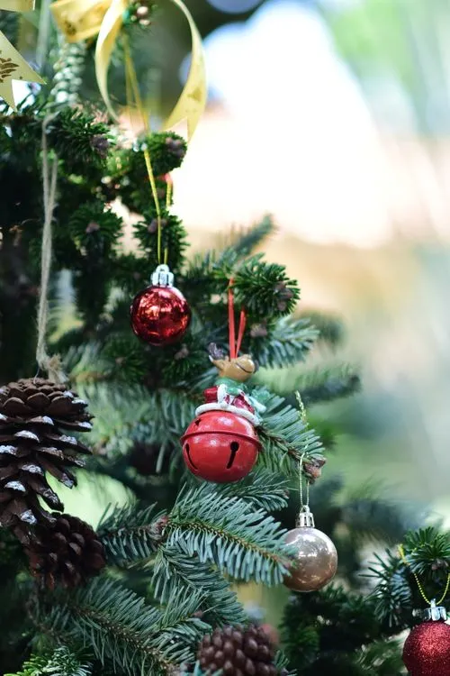 Decorating Christmas Tree with Ornaments · Free Stock Photo