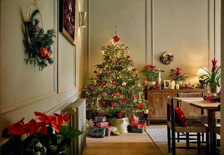 Dobbies Unwraps Five New Decorating Themes For Christmas 2025