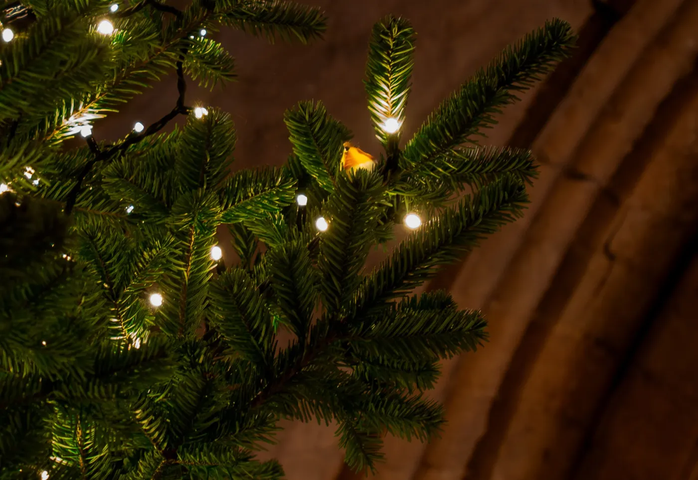 Durham Cathedral Christmas Tree Festival 2026 - Durham Cathedral