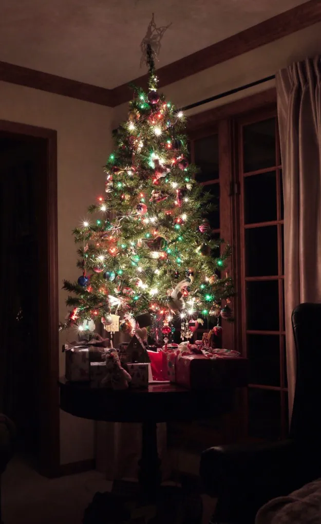 Early Light | Cindy Rice Designs