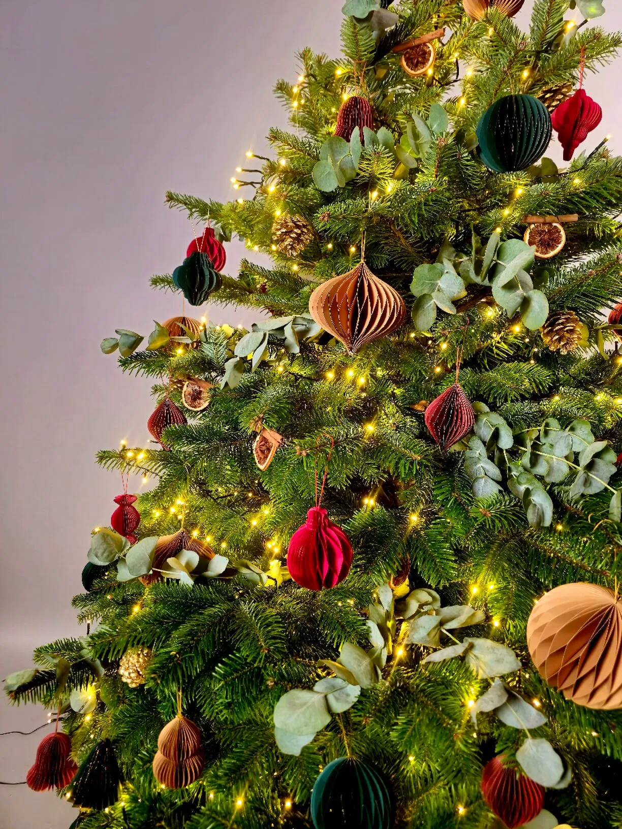 Eco Botanical - Luxury Decorated Christmas Tree | Fir Tree: Dublin Christmas  Tree Delivery