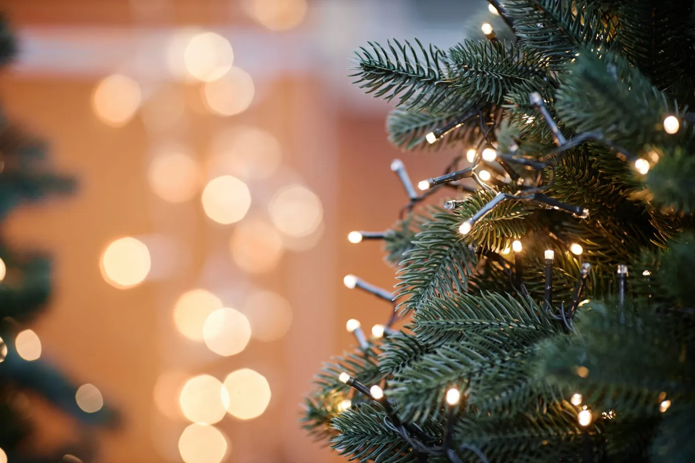 Fall & Winter Holiday Events Around Lathrop, CA - Stanford Crossing