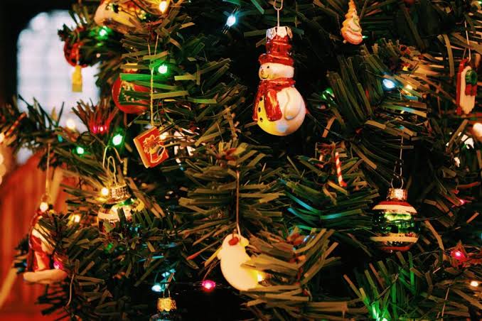 Festival of Trees and Lights - Explore Washington CT