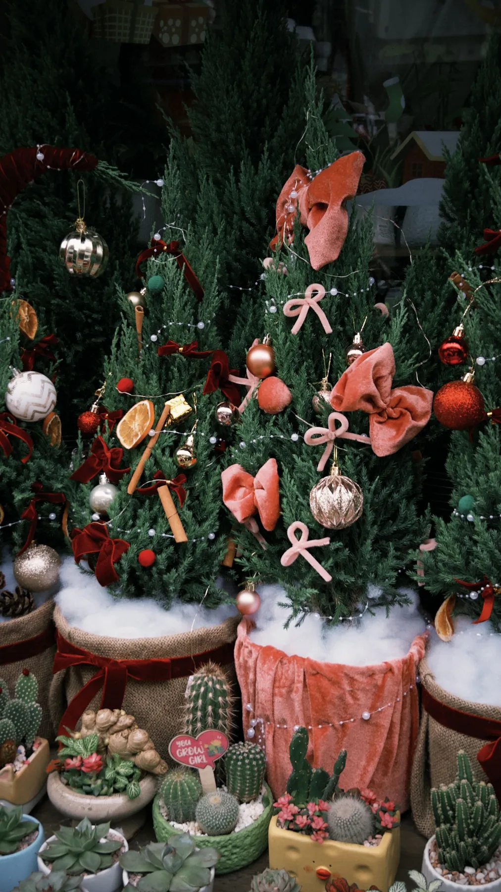Festive Christmas trees adorned with ornaments and bows, surrounded by potted cacti in a cozy holiday setup.