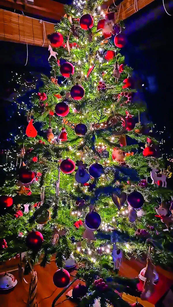 Festive, personal, meaningful: The stories behind celebs' X-mas trees |  Telugu Movie News - The Times of India