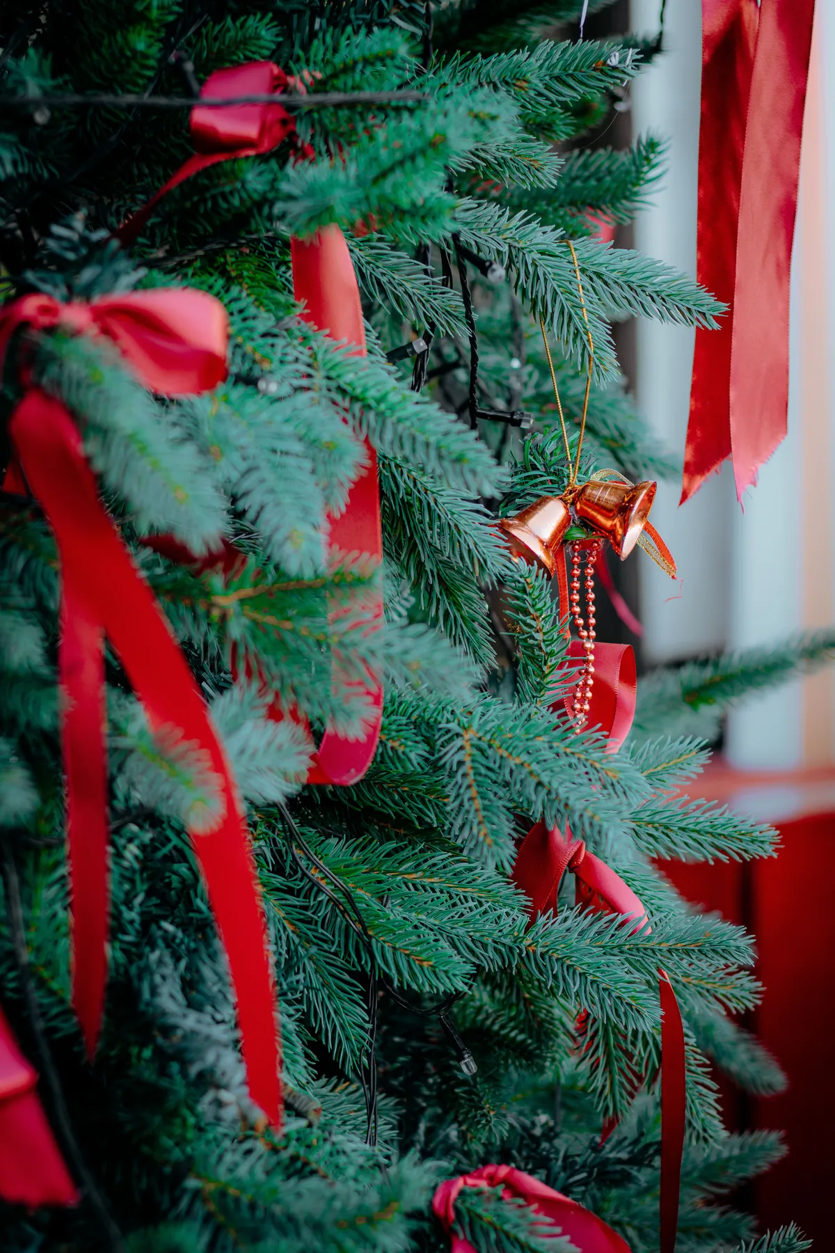 Festive Red Ribbons on Christmas Tree Branches · Free Stock Photo