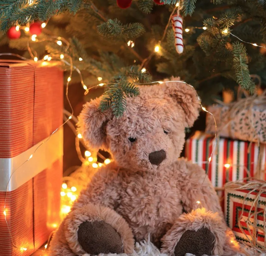 Find the Perfect Christmas Tree for Your Home - Christmas Shoppe