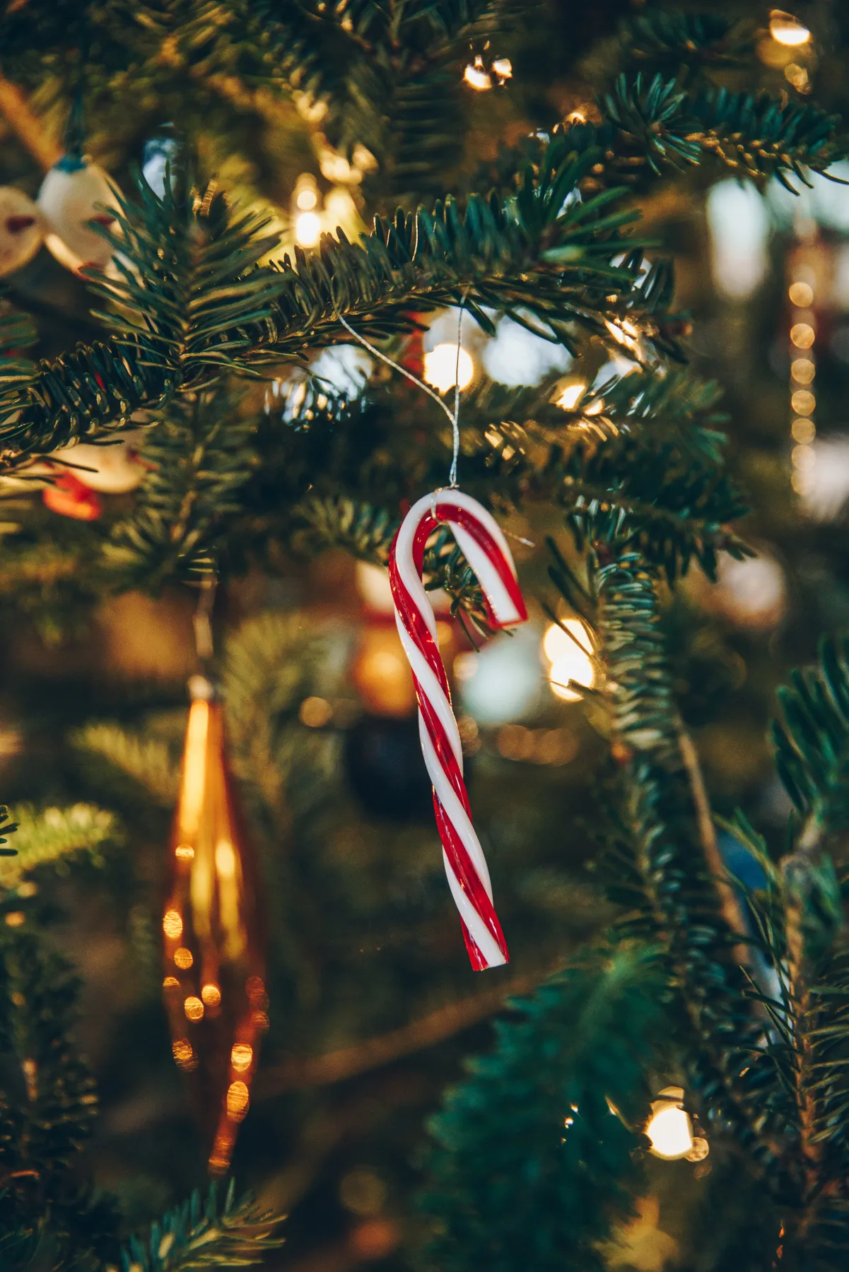 Flocked Artificial Christmas Trees - Elegant Holiday Decor | SHareconn