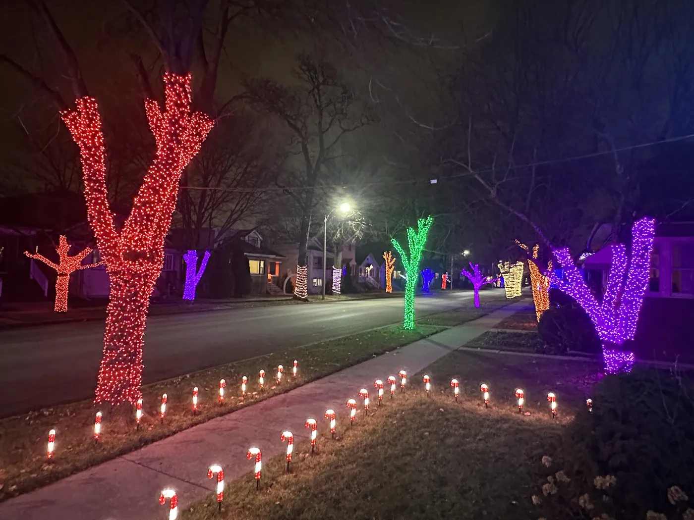Forest Park lights up for winter for 2nd year in a row - Forest Park Review