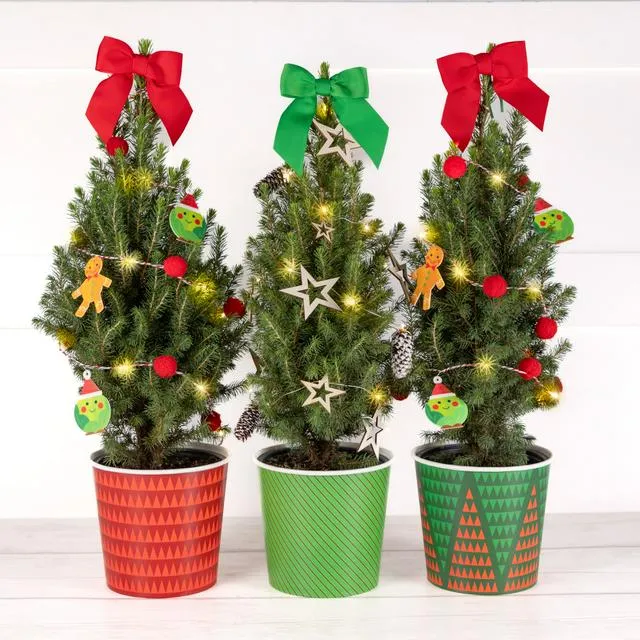 Fun Christmas Tree with Lights | Sainsbury's