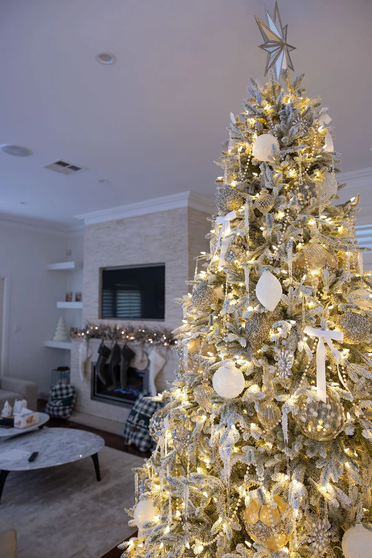 Gallery & Testimonials - Blitz My Tree