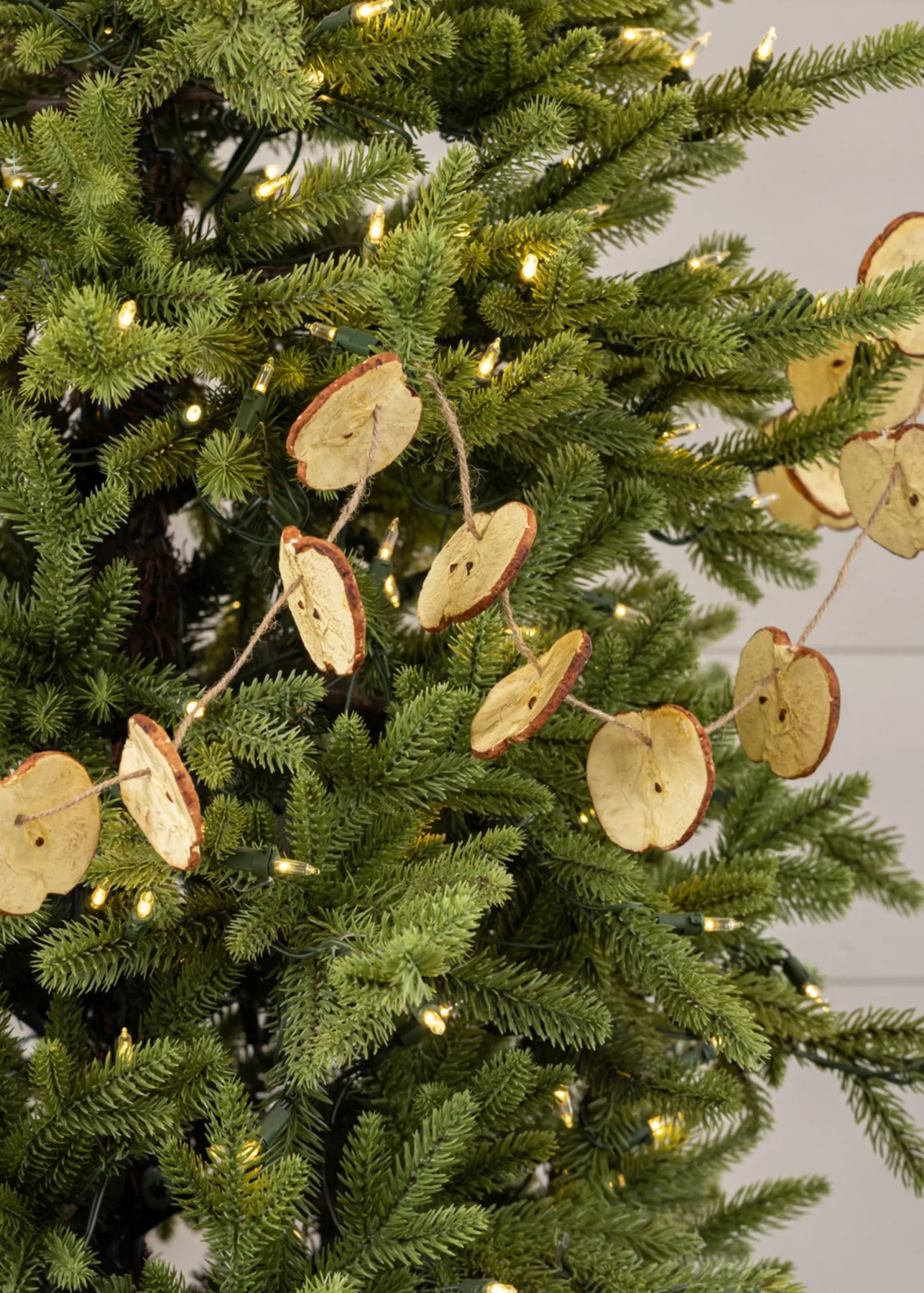 Garland 5' Apple Spice G219508