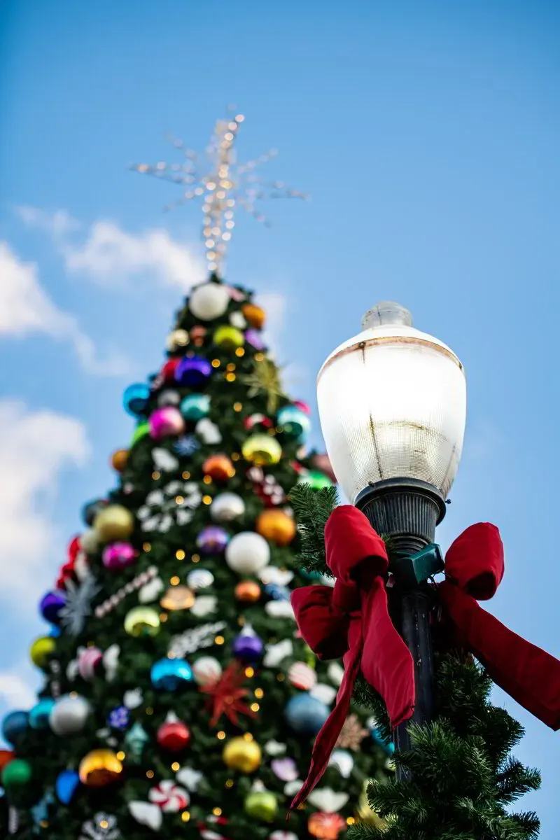Giant Commercial Christmas Trees for Holiday Celebrations - Jubilee Decor