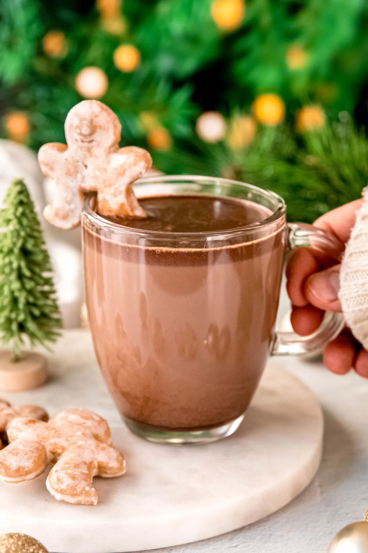 Gingerbread Hot Chocolate - coffeecopycat.com