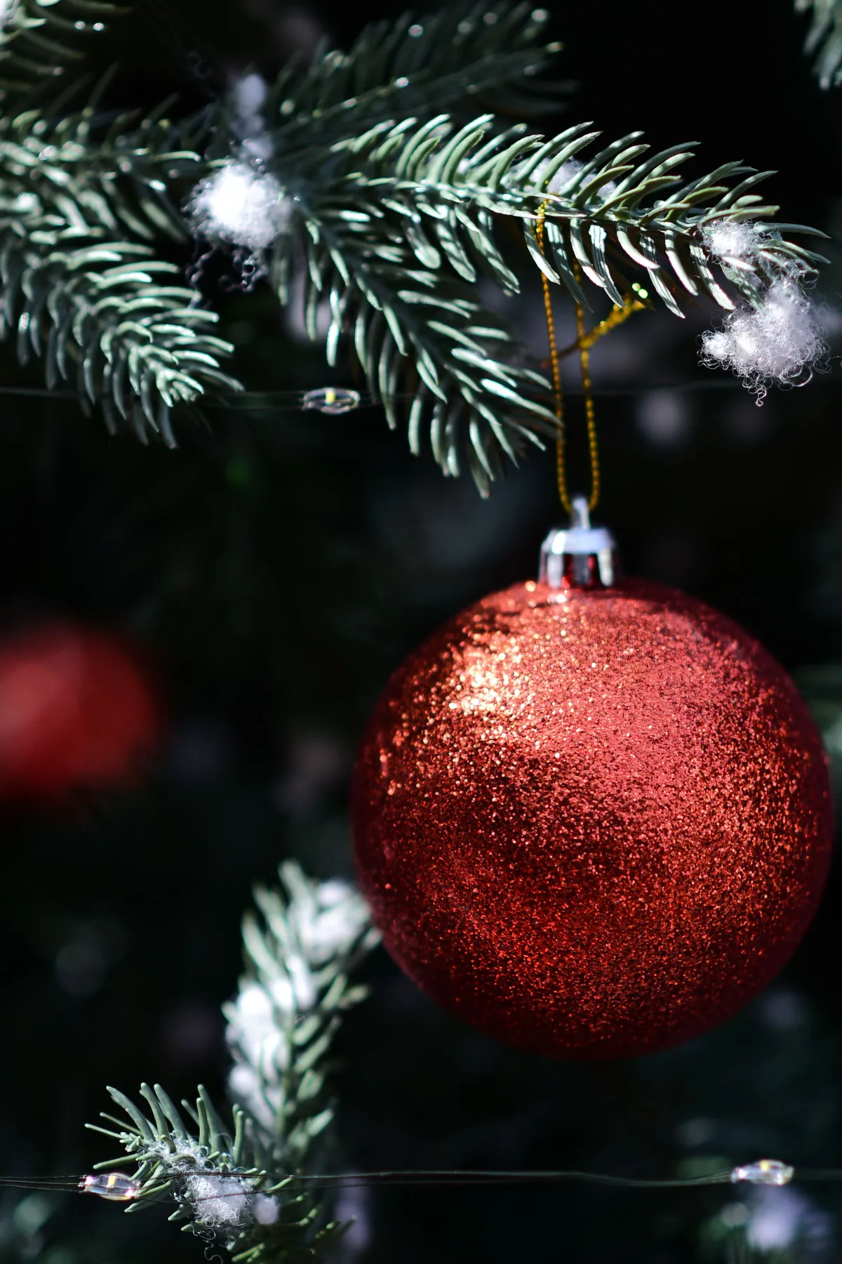 Glittering Red Christmas Ornament on Evergreen · Free Stock Photo
