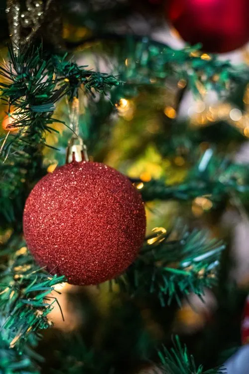 Glittering Red Christmas Ornament on Evergreen · Free Stock Photo