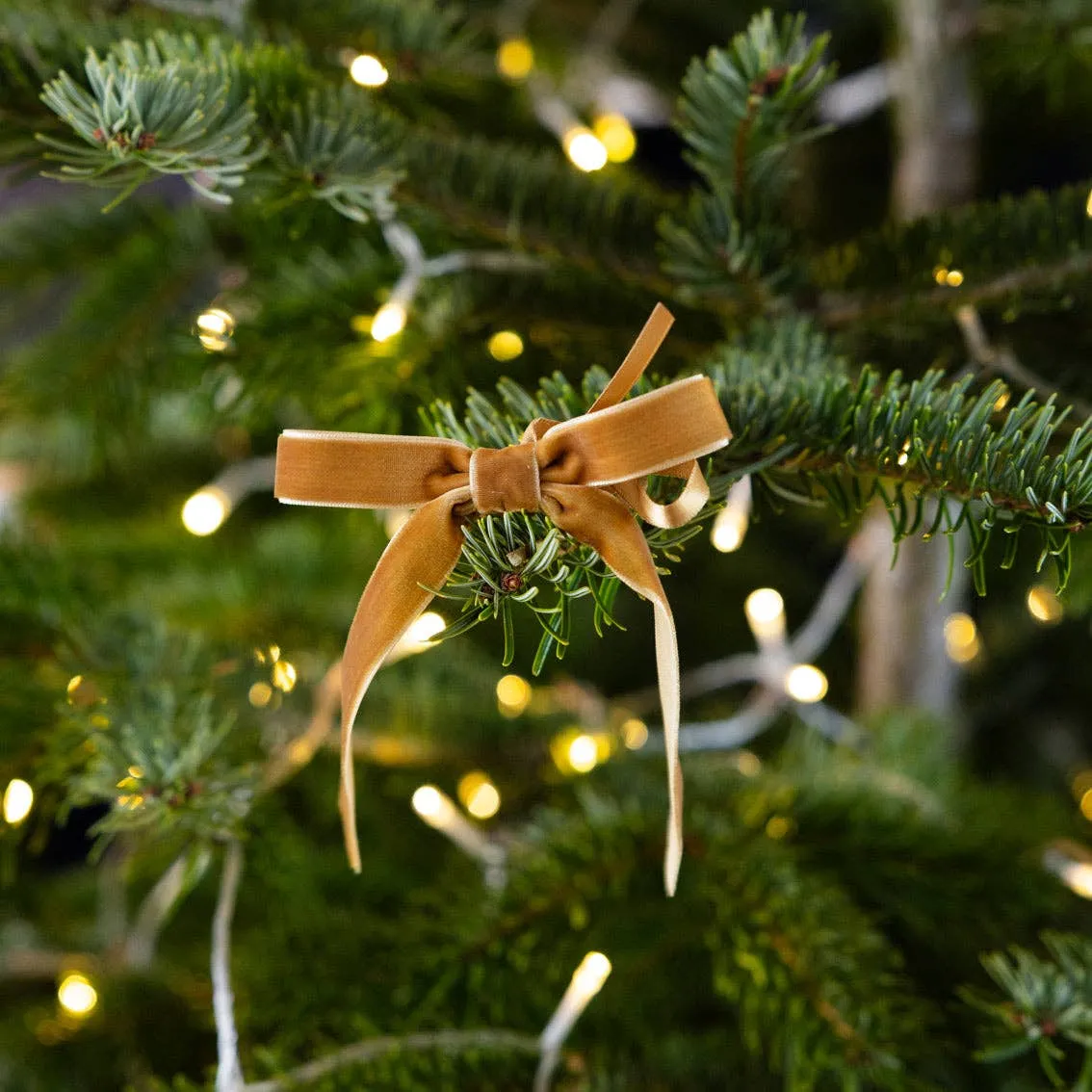 Gold & Cream Velvet Bows - 8 Pack | Hucklebeary