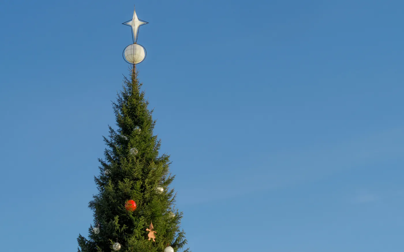 green Christmas tree