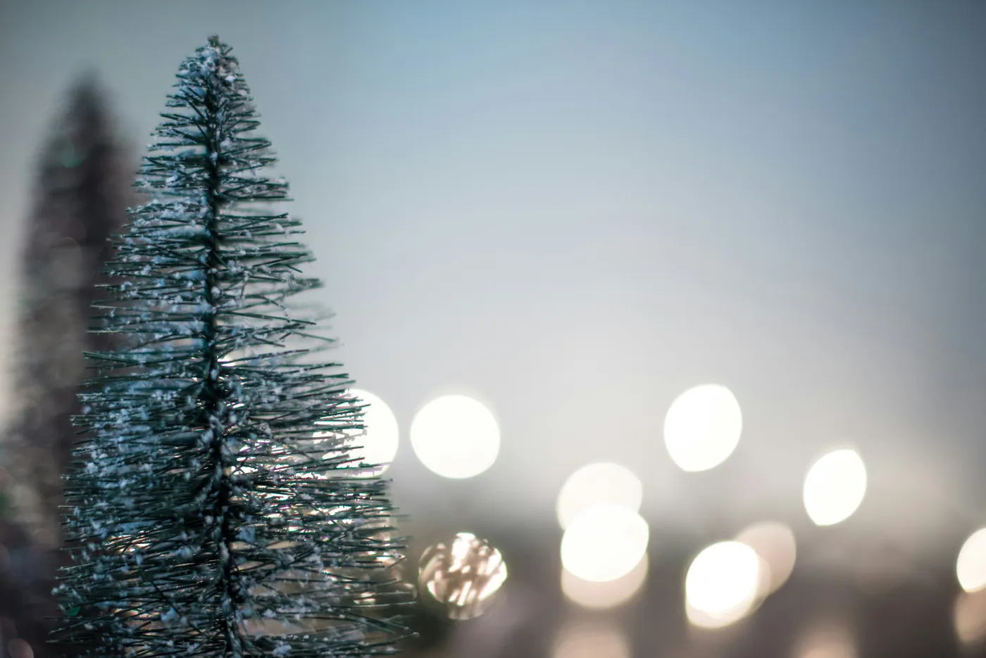 green Christmas tree with boke lights background