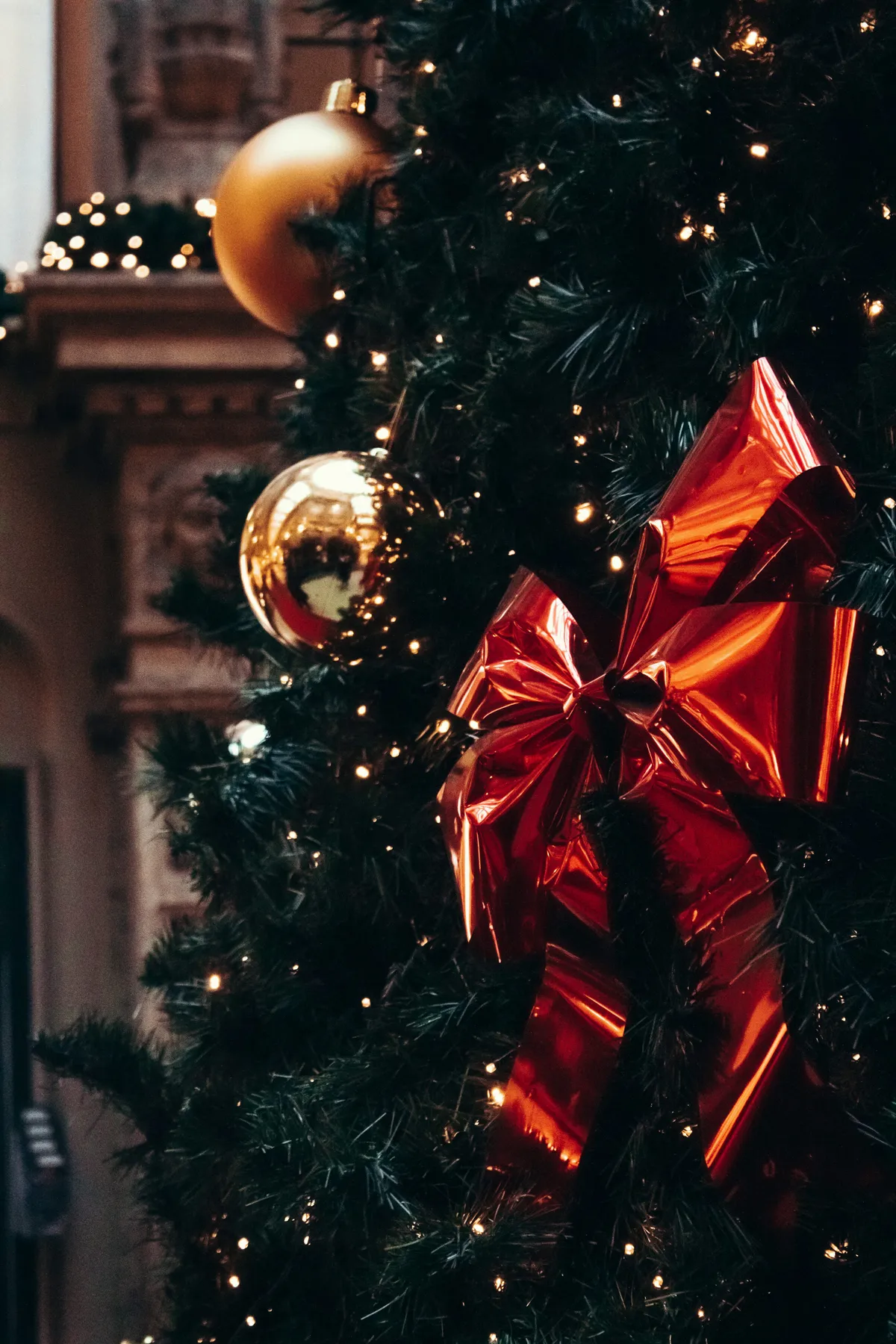 Green christmas tree with red and gold baubles - Free Photo on Unsplash