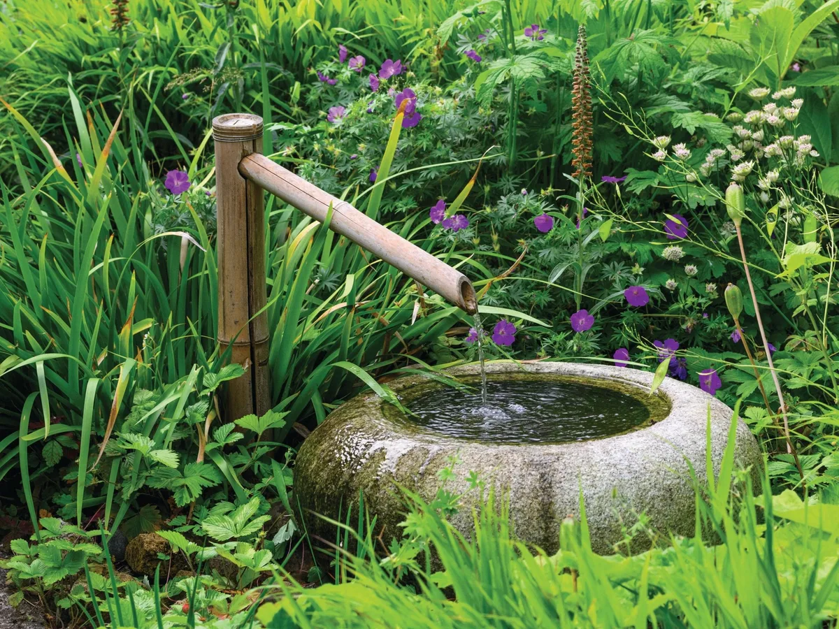 Here's how to transform your garden with a water bowl, pond or rill, with inspirational real-life design ideas and safety tips | Gardens Illustrated