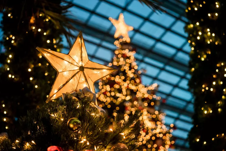 Here's How Your Tree Could Celebrate Christmas in Middletown NY