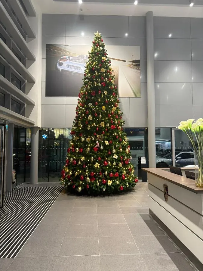 Home - Irish Corporate Christmas Trees