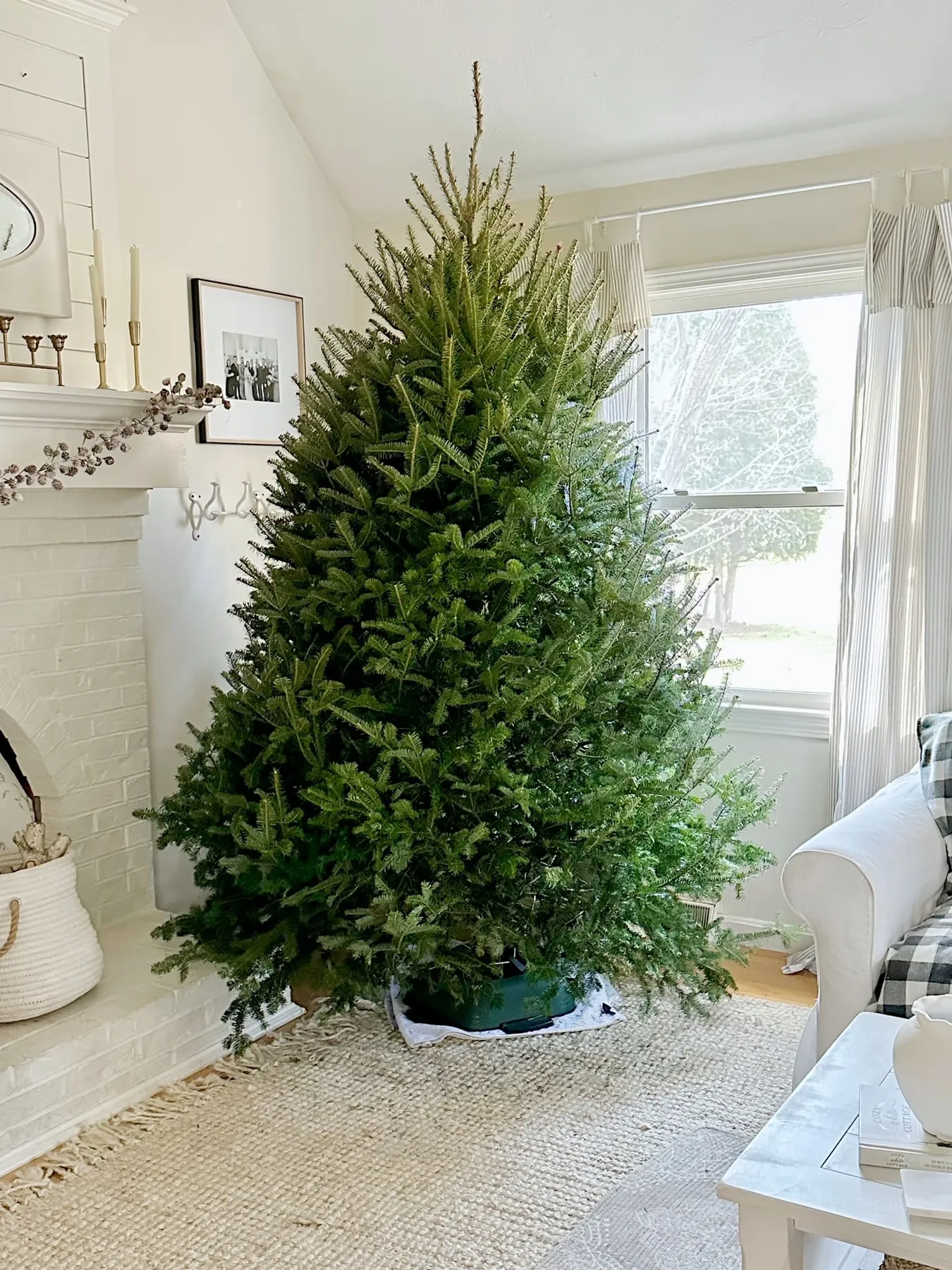 How To Decorate A Christmas Tree: The Most Complete Guide You'll Find - Celebrated Nest
