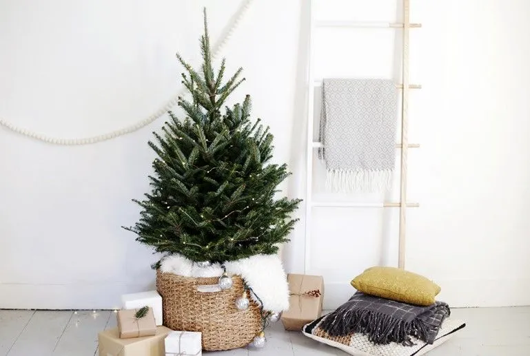 How To Decorate With Mini Christmas Trees - Cute And Practical Ideas