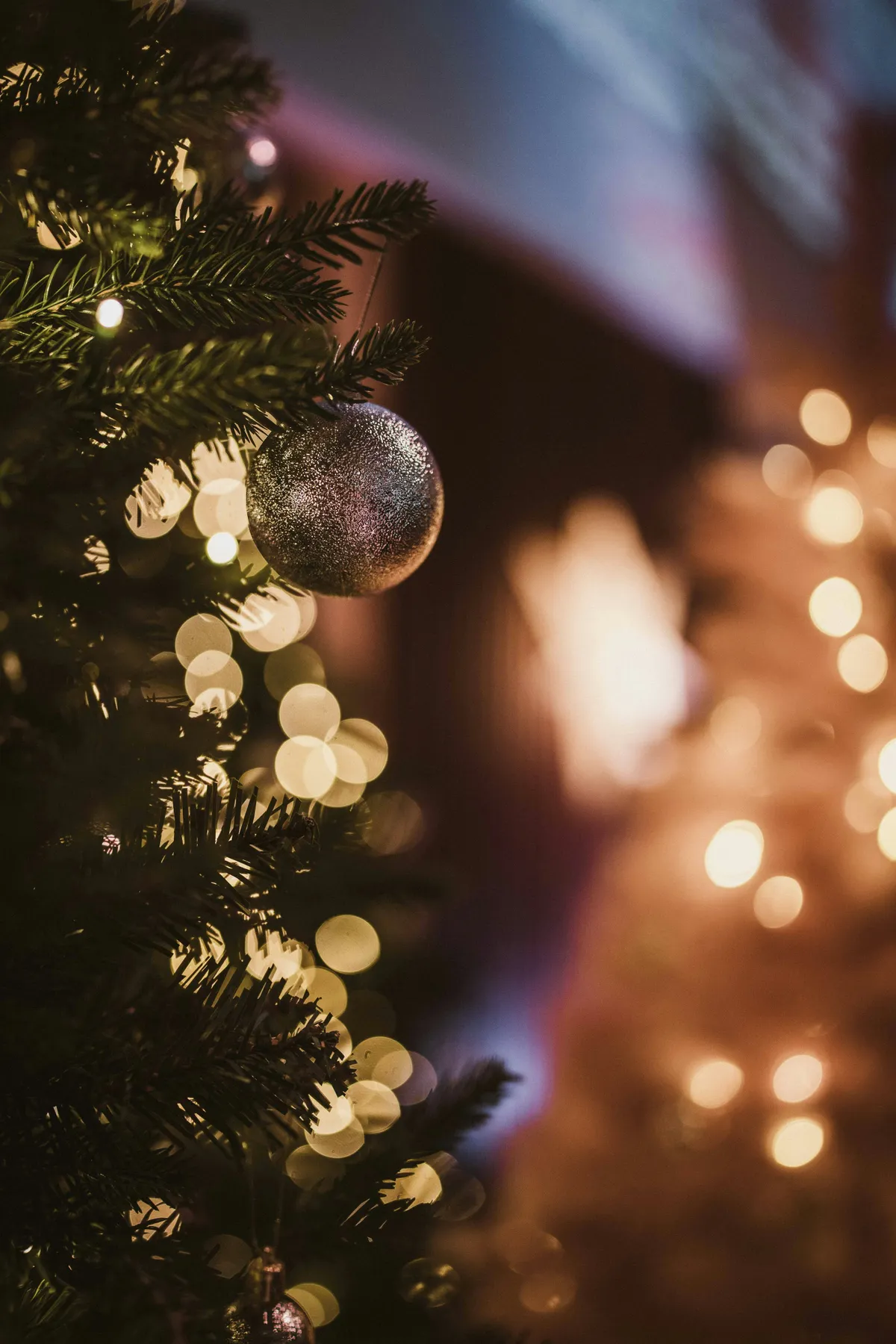 images.unsplash.com/photo-1765167029908-76366aea69...