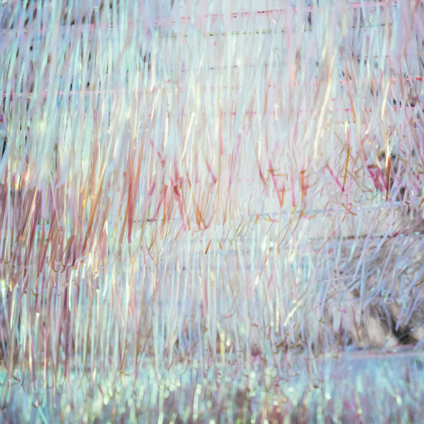 Iridescent tinsel streamers hanging down in shimmering light - Free Photo on Unsplash