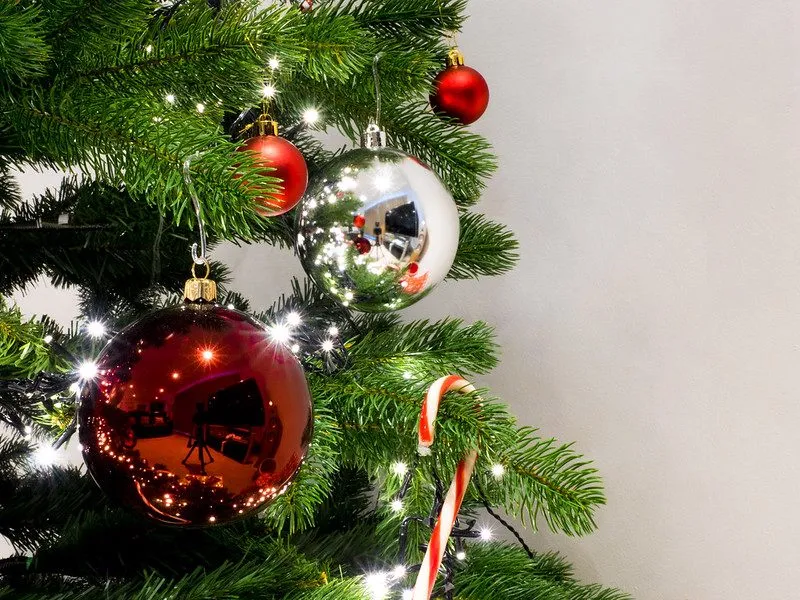 Keep Your Christmas Tree Green Longer - Tree Shepherds